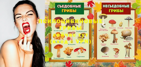 эйфоретик Арсеньев