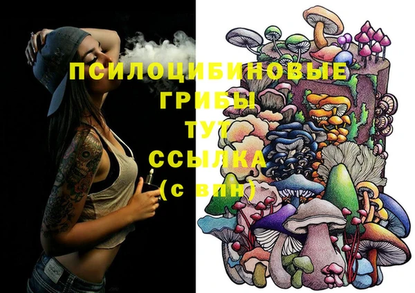 прущий лед Аркадак