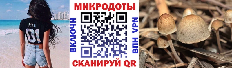 Псилоцибиновые грибы Magic Shrooms  Ахтубинск 