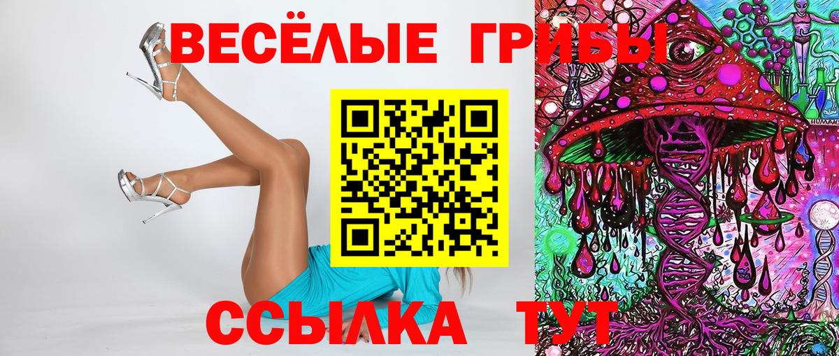 Псилоцибиновые грибы ЛСД Ахтубинск