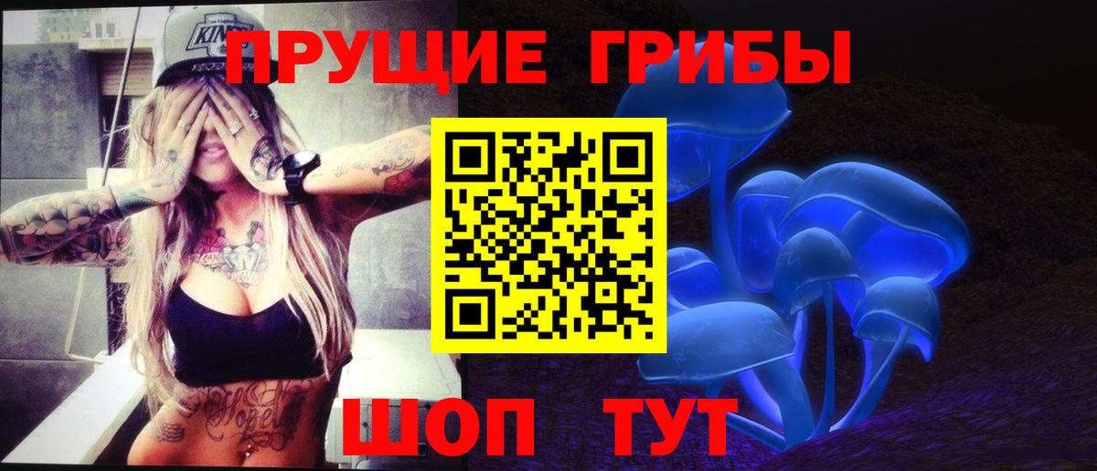 Ахтубинск  цены   Псилоцибиновые грибы Psilocybe  Вход с VPN  Галлюциногенные грибы GOLDEN TEACHER 